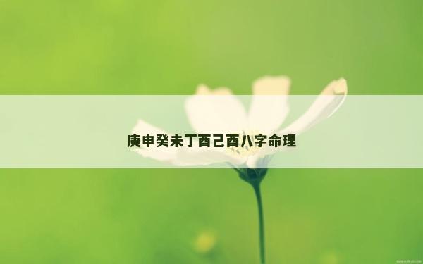 庚申癸未丁酉己酉八字命理