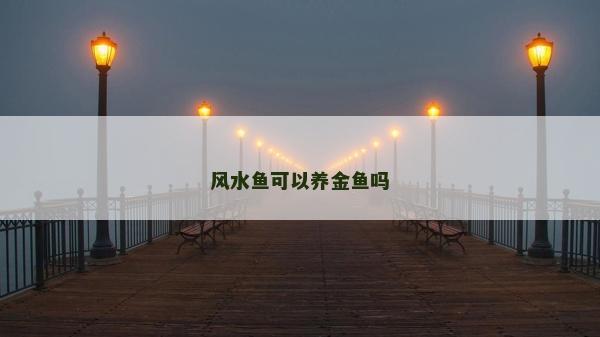 风水鱼可以养金鱼吗