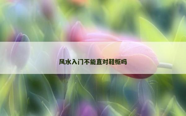 风水入门不能直对鞋柜吗