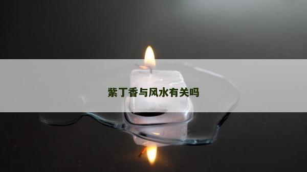 紫丁香与风水有关吗