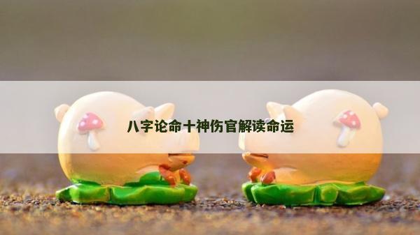 八字论命十神伤官解读命运