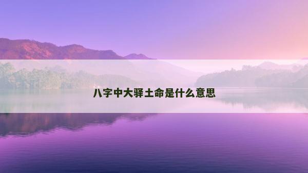 八字中大驿土命是什么意思