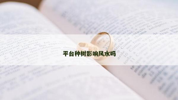 平台种树影响风水吗