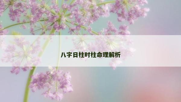 八字日柱时柱命理解析