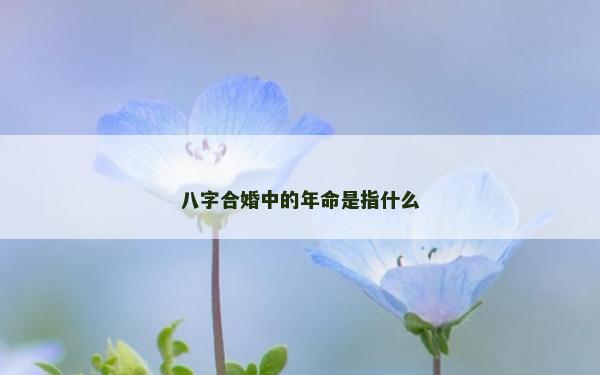 八字合婚中的年命是指什么