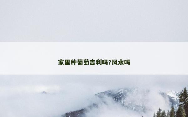 家里种葡萄吉利吗?风水吗