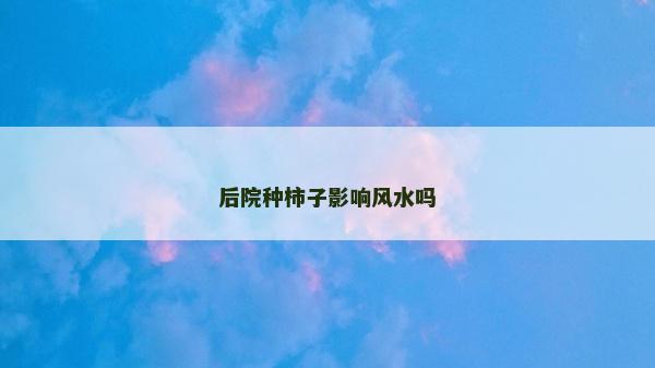 后院种柿子影响风水吗