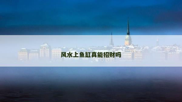 风水上鱼缸真能招财吗