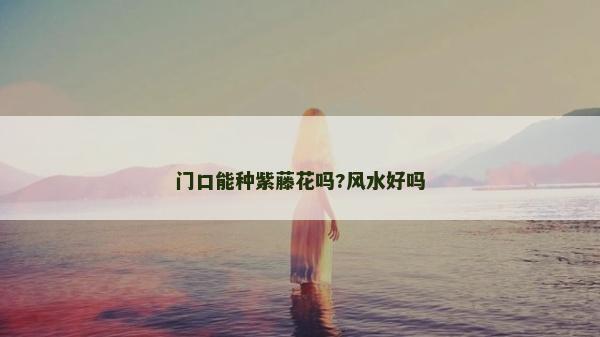 门口能种紫藤花吗?风水好吗