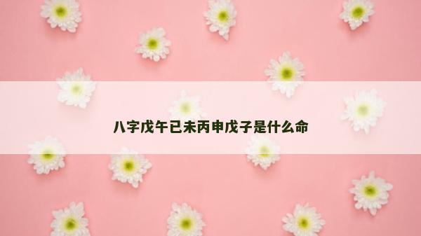 八字戊午已未丙申戊子是什么命