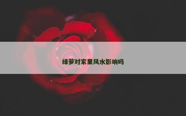 绿萝对家里风水影响吗