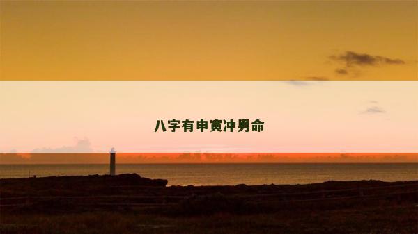 八字有申寅冲男命