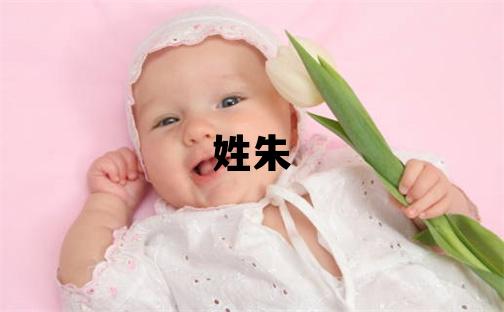 姓朱叫什么名字好 姓朱的男孩冷门独特的名字
