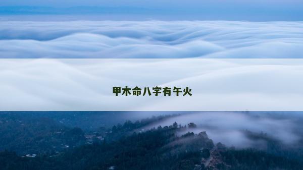 甲木命八字有午火