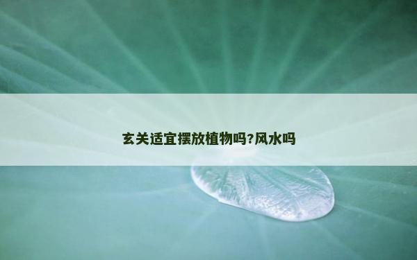 玄关适宜摆放植物吗?风水吗