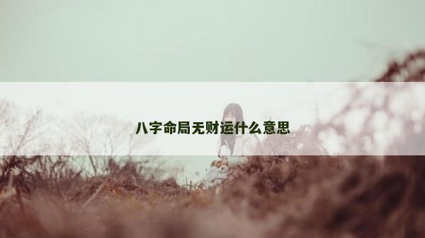 八字命局无财运什么意思