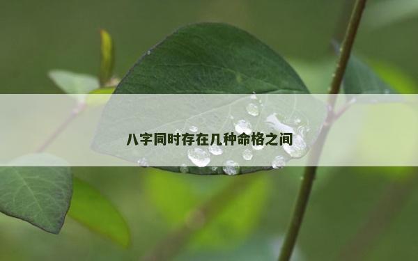 八字同时存在几种命格之间