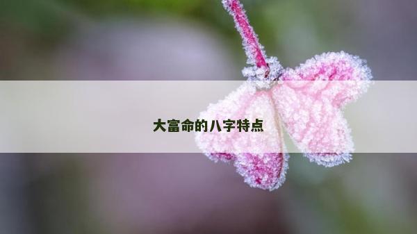 大富命的八字特点