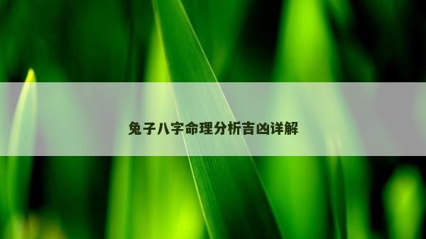 兔子八字命理分析吉凶详解