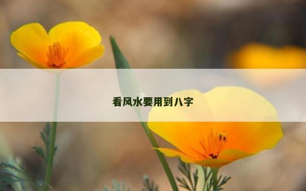 看风水要用到八字