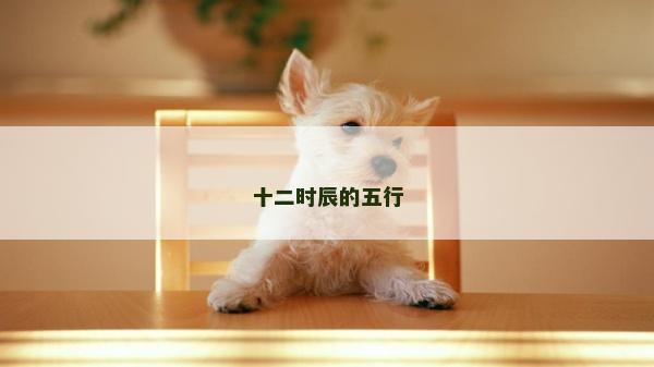 十二时辰的五行