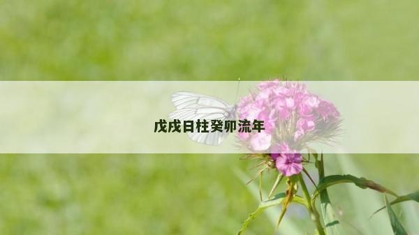 戊戌日柱癸卯流年