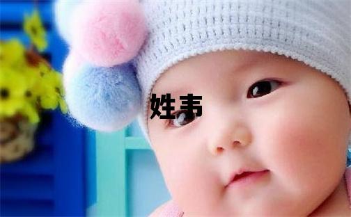 姓韦叫什么名字好 姓韦的女孩有涵养的名字
