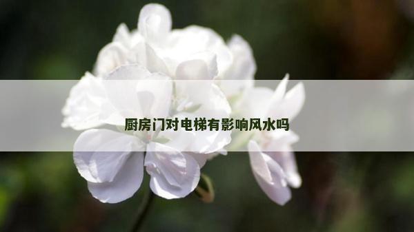 厨房门对电梯有影响风水吗