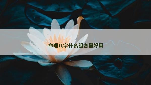 命理八字什么组合最好用
