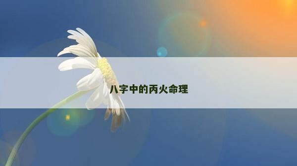 八字中的丙火命理