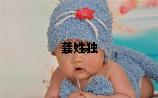 龚姓独特优美的男孩名字