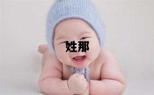 姓那叫什么名字好 姓那的男孩洋气的名字