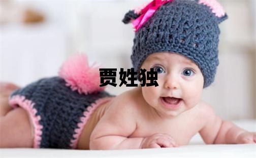 贾姓独特优美的男孩名字,取什么名字好