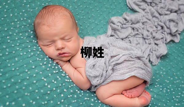 柳姓有气质的女孩名字,取什么名字好