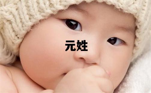 元姓朗朗上口的男宝宝名字