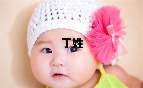 丁姓有涵养的男孩名字,取什么名字好