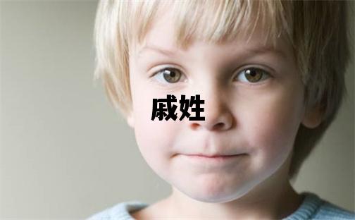 戚姓大气文雅的男宝宝名字