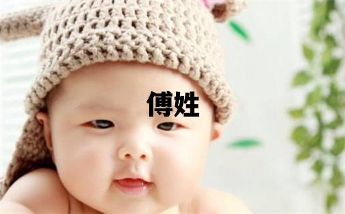 傅姓朗朗上口的男宝宝名字